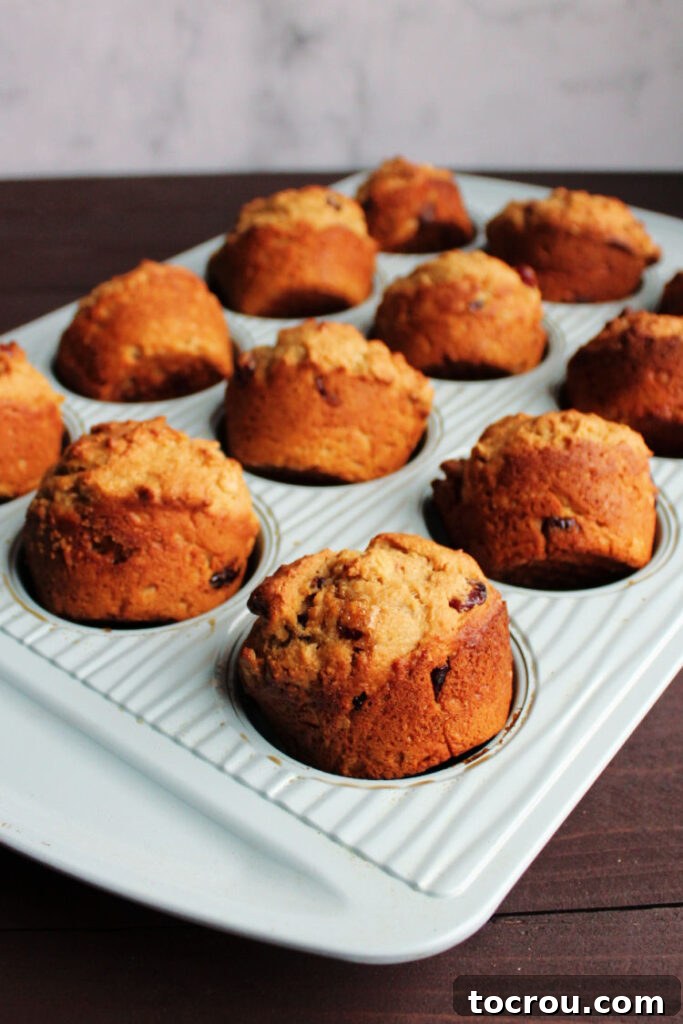 Tin of cranberry oatmeal muffins tilted over on their sides, showcasing golden-brown tops.