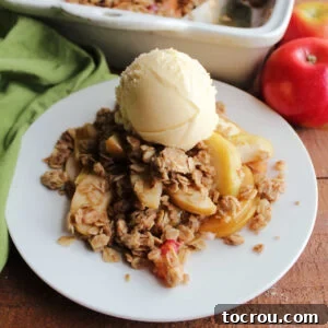 Serving of old fashioned apple crisp on plate topped with scoop of vanilla ice cream, ready to serve.