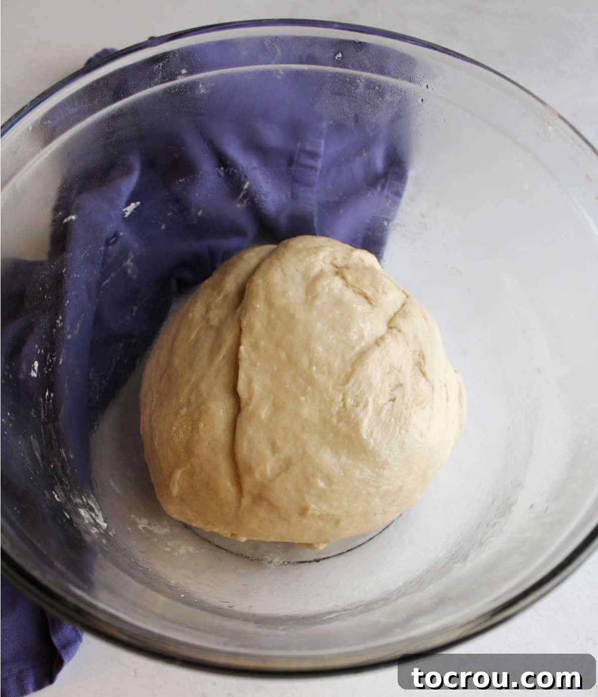 Proofing Sourdough Pizza Dough Greased bowl with ball of kneaded pizza dough, ready to proof.