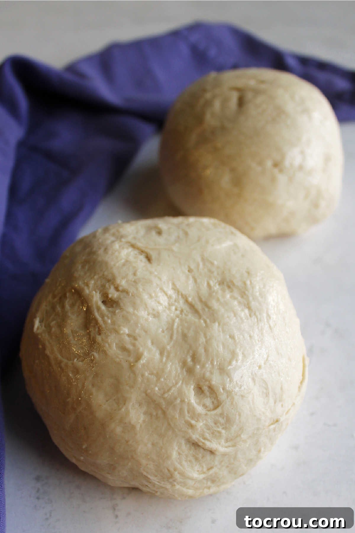 Sourdough Pizza Dough Balls Two balls of sourdough pizza crust, ready to be made into pizzas.