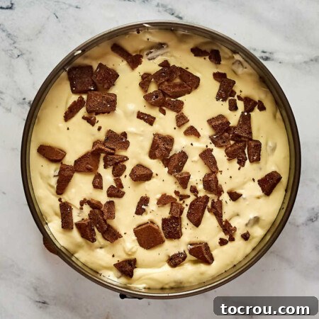 Decadent Brownie Chunk Cheesecake with Mocha Cloud Topping 14 Frozen brownie chunks on cheesecake batter in springform pan, ready to go in the oven.