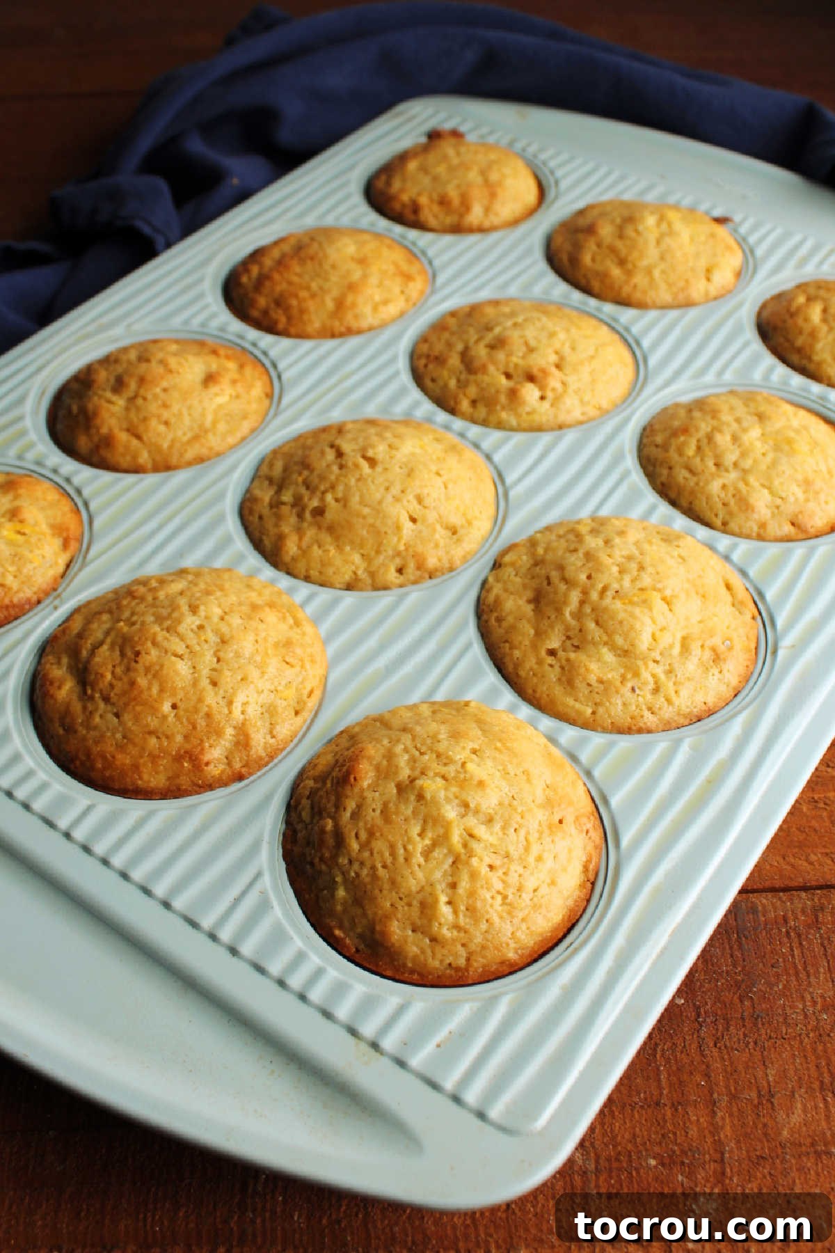 Freshly baked muffins Baked lemon yellow squash muffins in muffin tin, fresh from the oven.