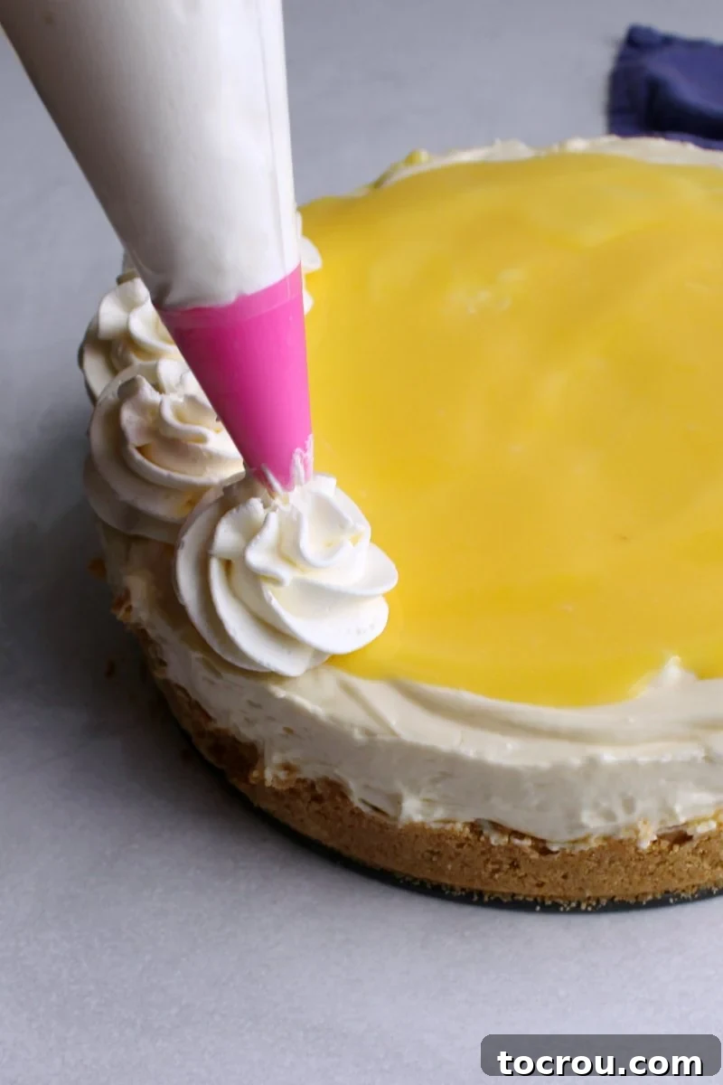 Piped Whipped Cream on Lemon Curd Cheesecake piping swirls of cream cheese whipped cream on top of lemon curd topped no bake cheesecake.