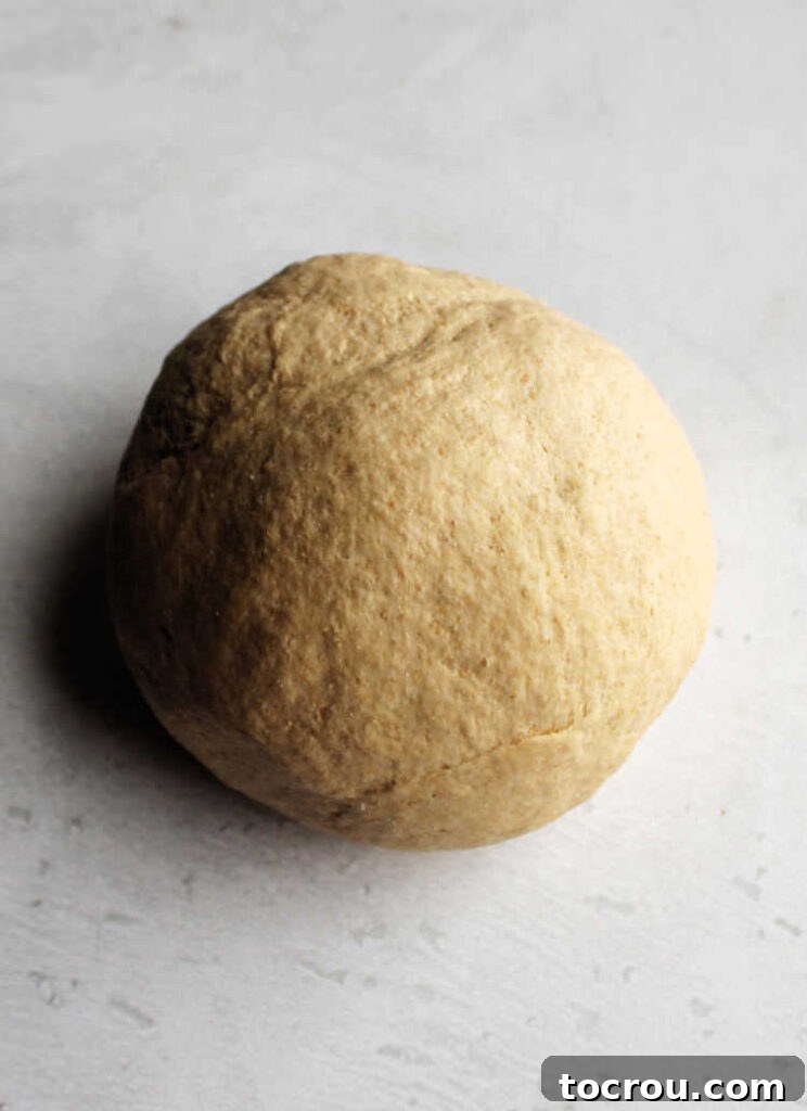 Artisan Whole Wheat Sourdough Sandwich Loaf 3 A freshly kneaded ball of sourdough sandwich bread dough in a mixing bowl, smooth and ready for its first rise.