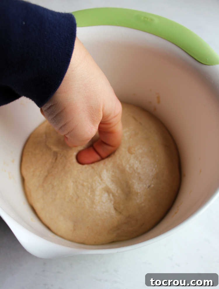 Artisan Whole Wheat Sourdough Sandwich Loaf 4 A bowl of proofed sourdough sandwich bread dough, showing a distinct finger imprint to indicate readiness for shaping.