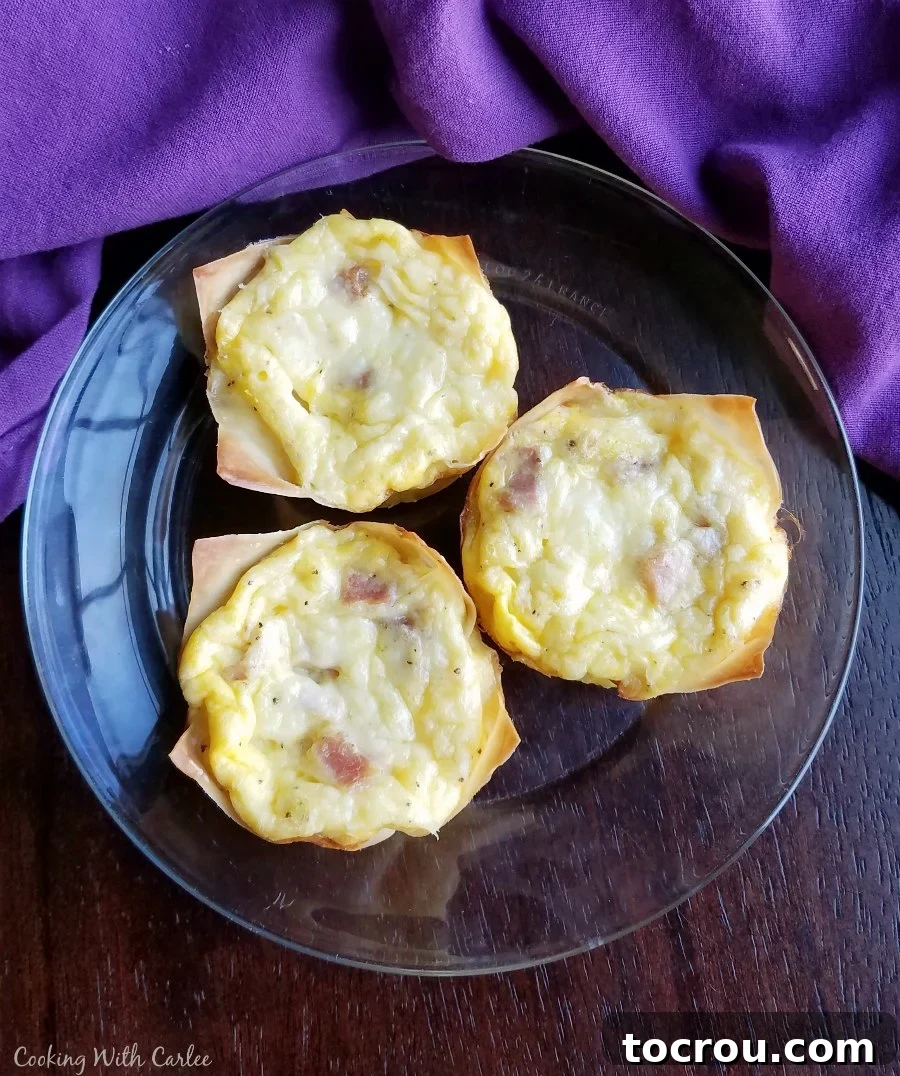 Mini quiches on a plate Three perfectly baked mini ham and cheese quiches, ready to be enjoyed, presented on a simple white plate.