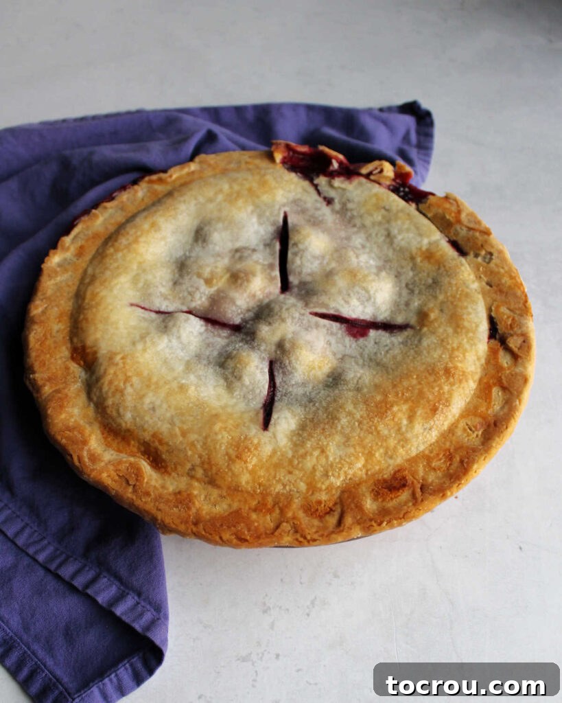 Fresh baked blackberry pie with golden crust and bits of dark purple berries showing through vent holes.