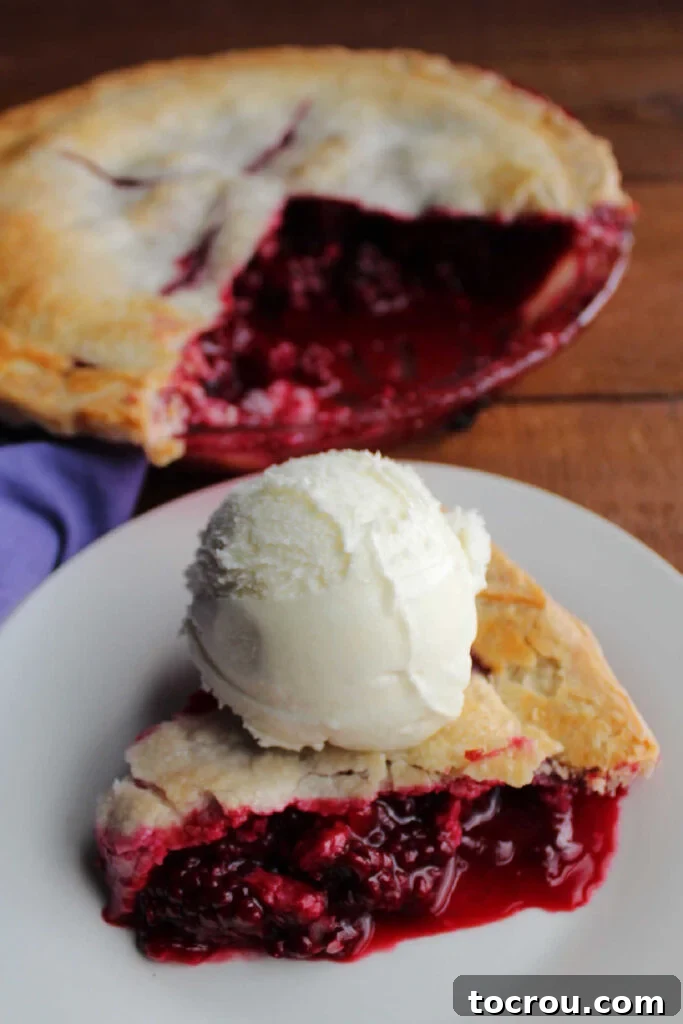 Slice of blackberry pie topped with vanilla ice cream, ready to be enjoyed.