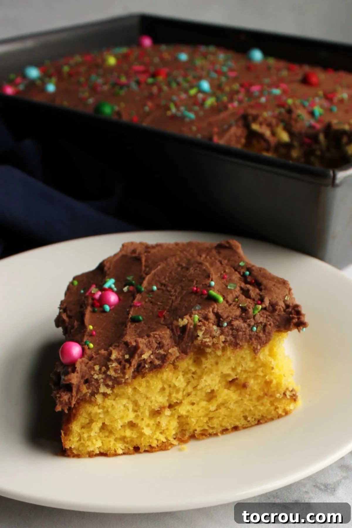 Piece of cake topped with brownie batter frosting and sprinkles.