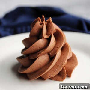 Swirl of chocolaty brownie batter frosting.