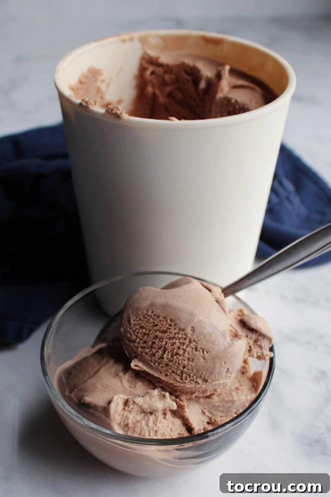 Scoops of brownie batter ice cream in bowl ready to eat.