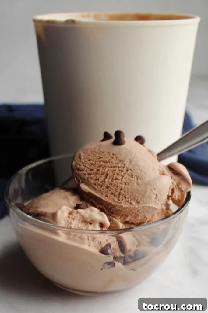 Small bowl of brownie batter ice cream with chocolate chips on top.