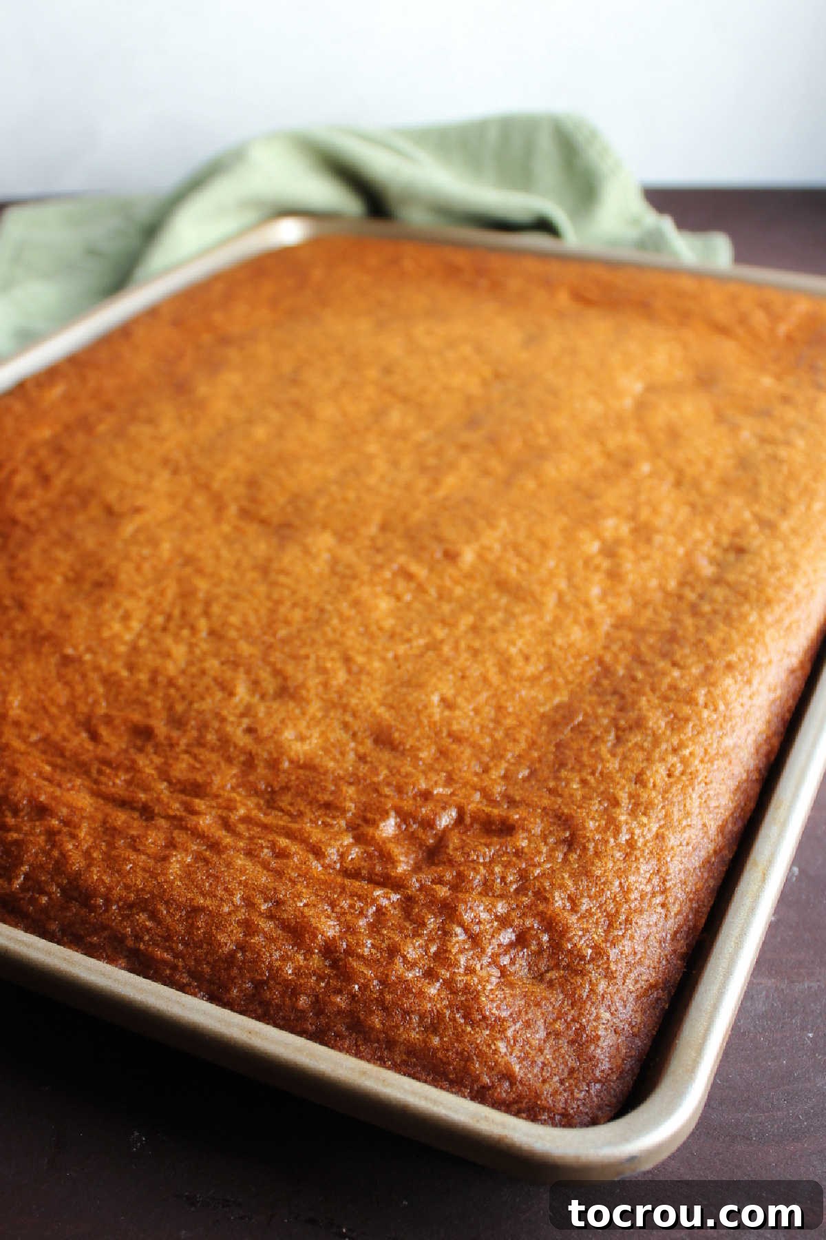 A large sheet pan generously filled with freshly baked, golden-brown pumpkin bars, cooling on a wire rack.