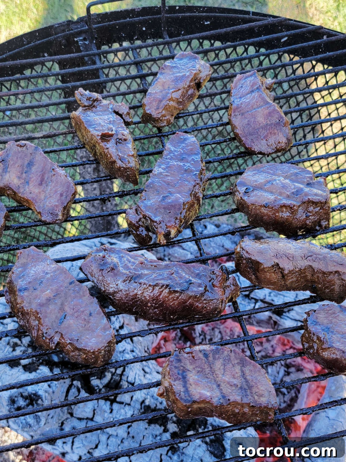 Perfectly marinated venison backstrap medallions sizzling over a vibrant wood fire grill. marinated backstrap medallions getting grilled over wood fire.