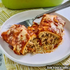 Chicken enchilada with homemade red enchilada sauce and melted cheese on top, a perfect blend of flavors.