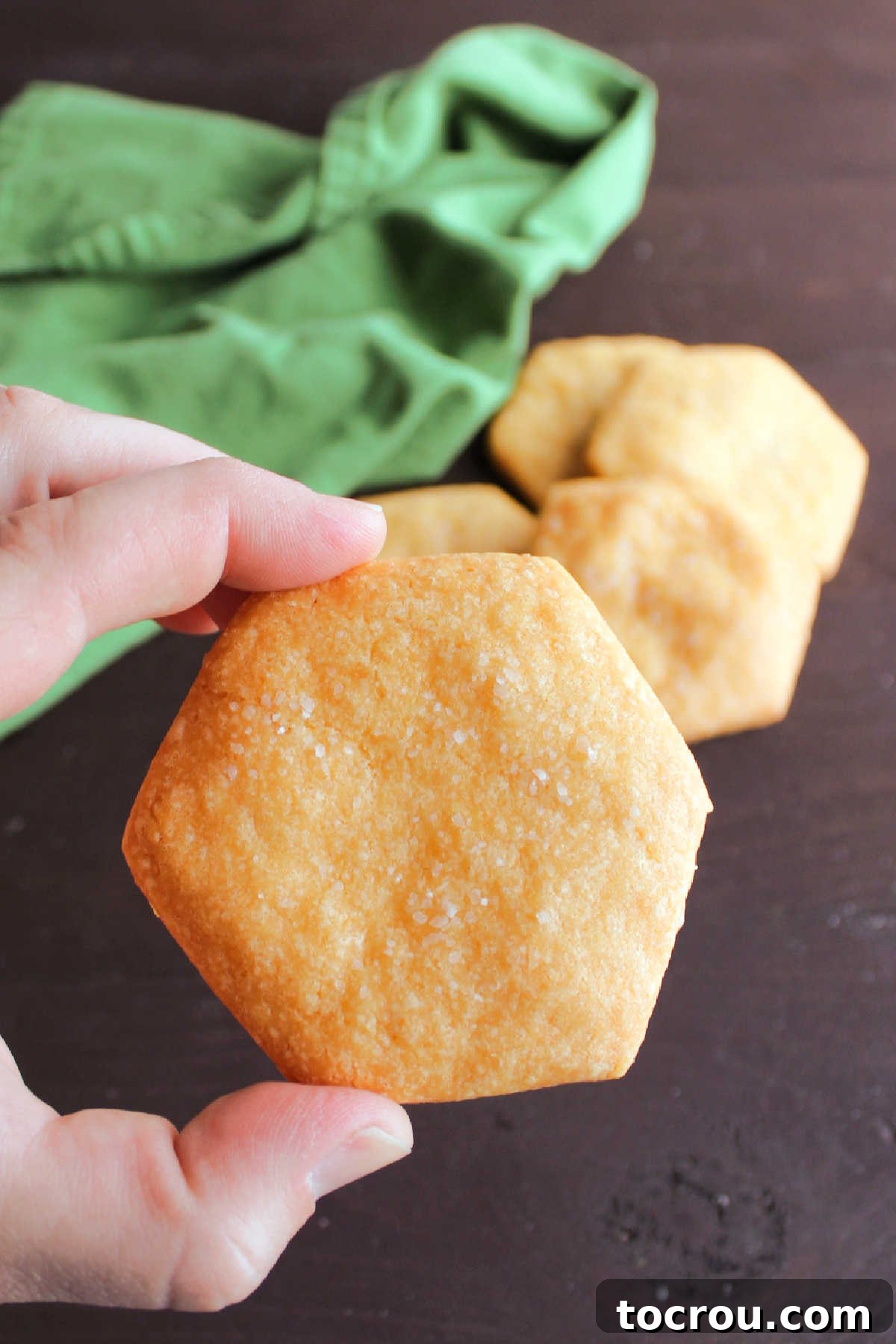 Hand holding large cheese cracker.