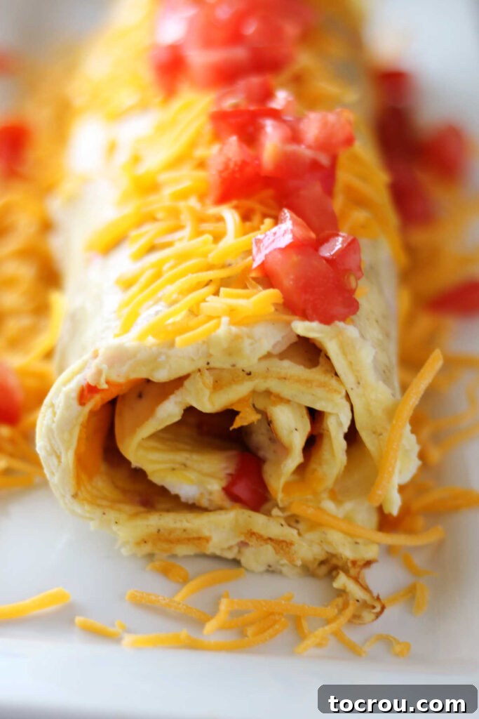Denver Omelet Roll-Up 3 Spiraled omelet roll on plate with cheese and tomatoes.